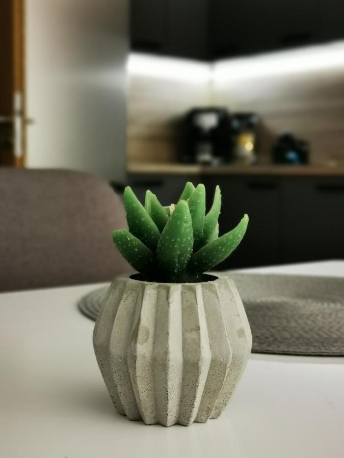 Apartman Mlynska Strouha Pilzno Zewnętrze zdjęcie